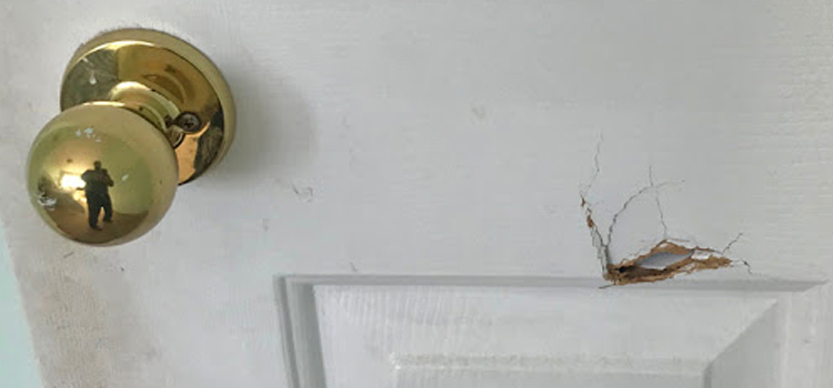interior door hole repair Emeryville