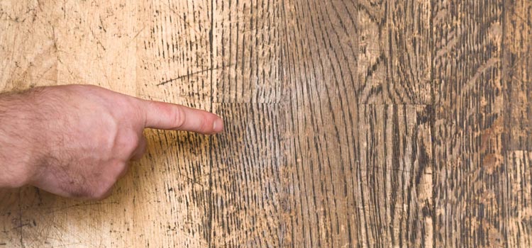 Wood Door Scratch Repair in Emeryville